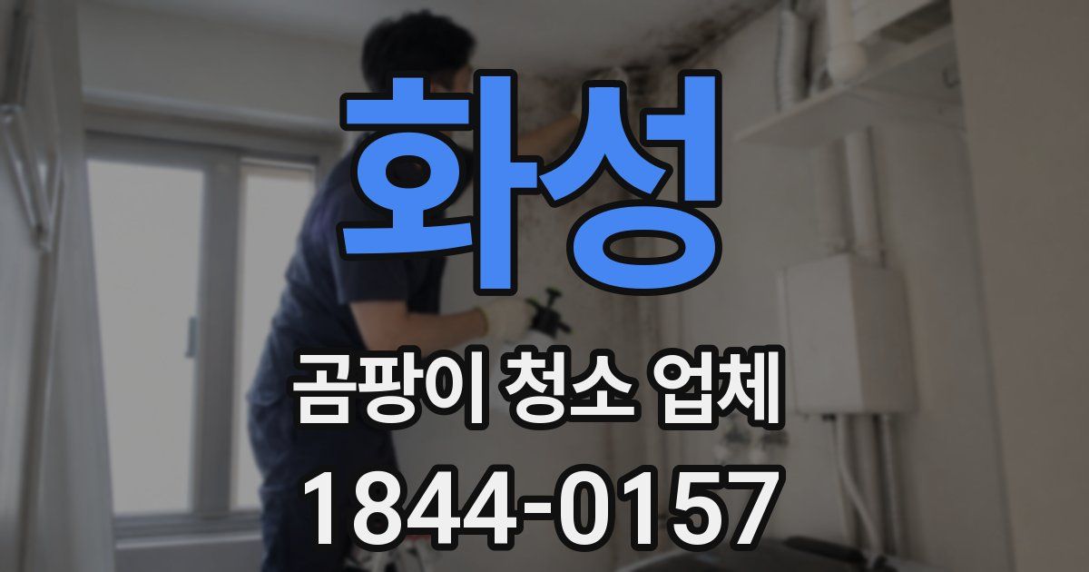 화성 곰팡이 청소 업체