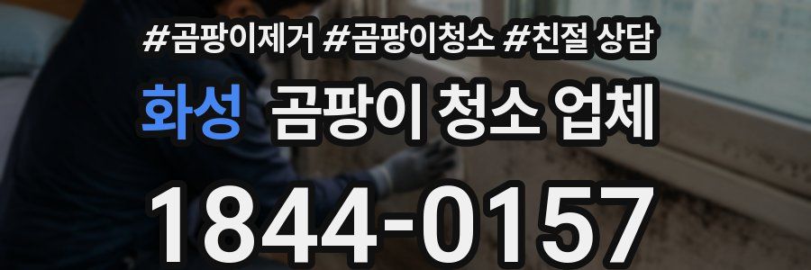 화성 곰팡이 청소 업체