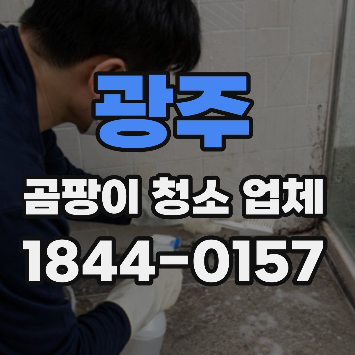 광주 곰팡이 청소 업체 후기보다 먼저 봐야 할 정보