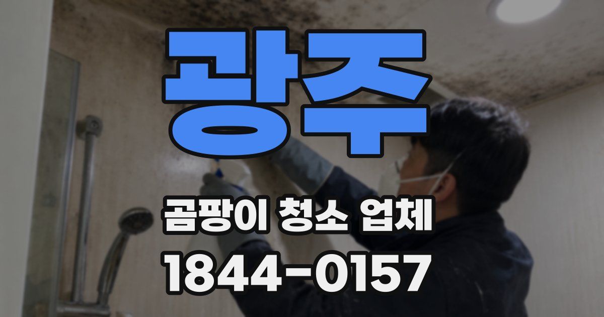 광주 곰팡이 청소 업체