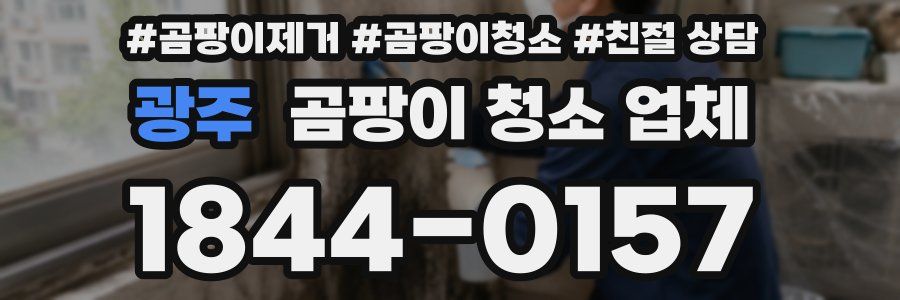 광주 곰팡이 청소 업체