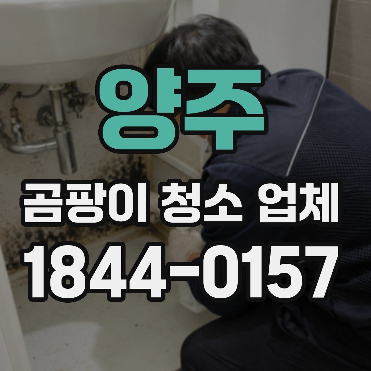 양주 곰팡이 청소 업체 이용 후 재오염 예방 팁