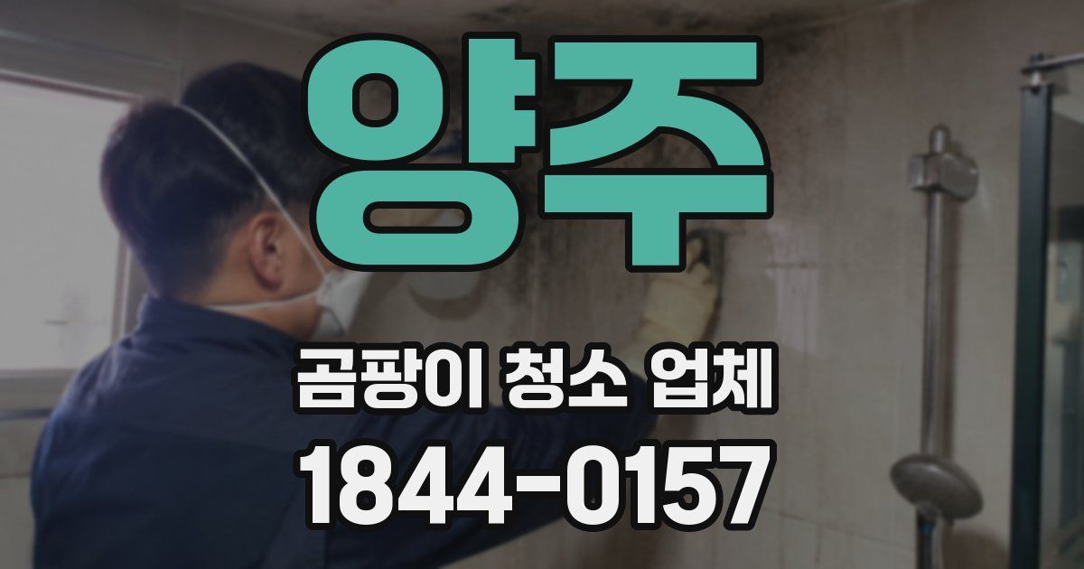 양주 곰팡이 청소 업체