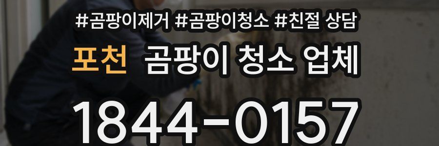 포천 곰팡이 청소 업체