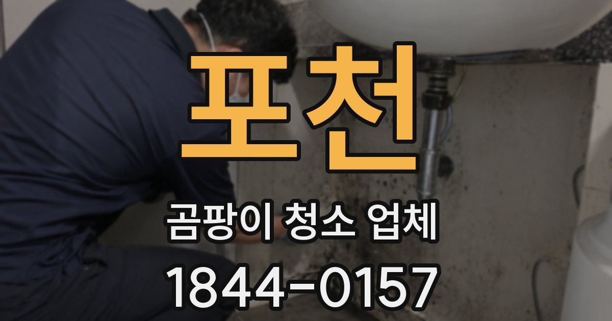 포천 곰팡이 청소 업체