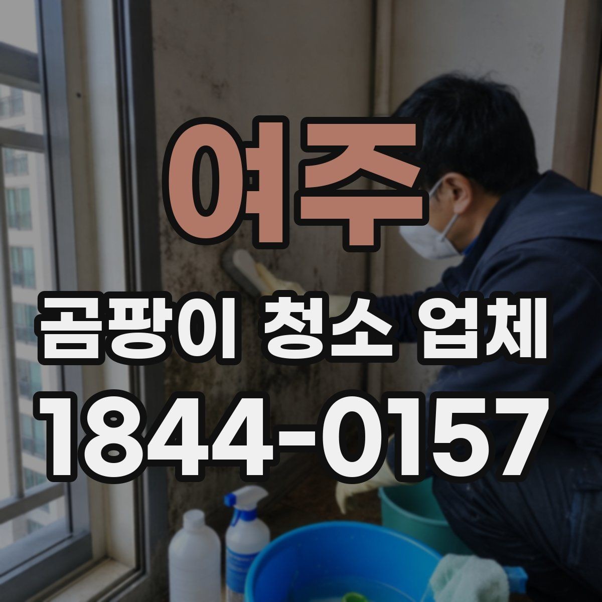 여주 곰팡이 청소 업체 비용 문의 전에 확인할 것