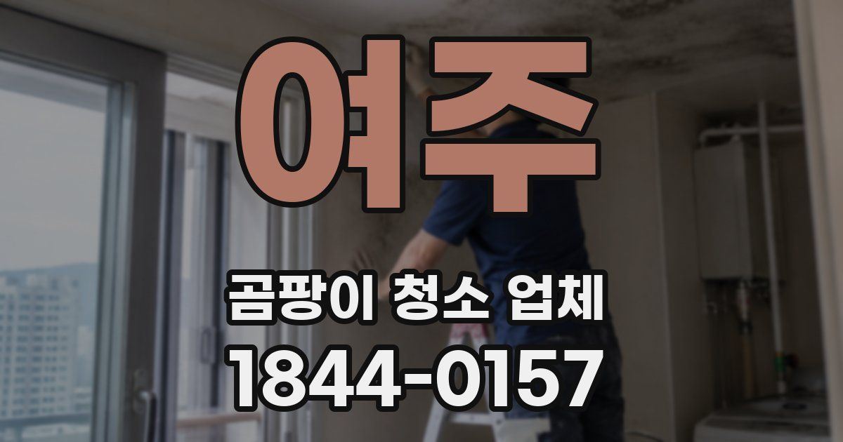여주 곰팡이 청소 업체