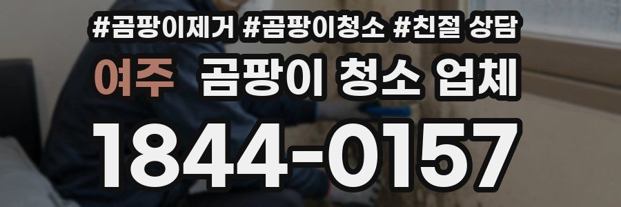 여주 곰팡이 청소 업체