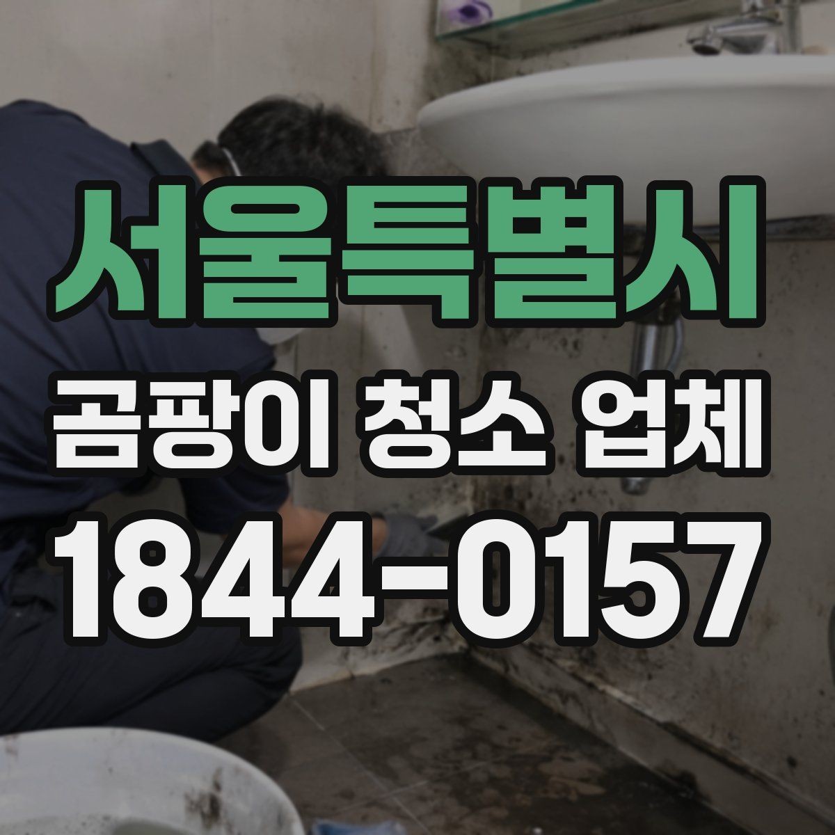서울특별시 곰팡이 청소 업체 이용 전 사진으로 점검하는 법