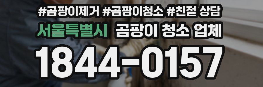 서울특별시 곰팡이 청소 업체