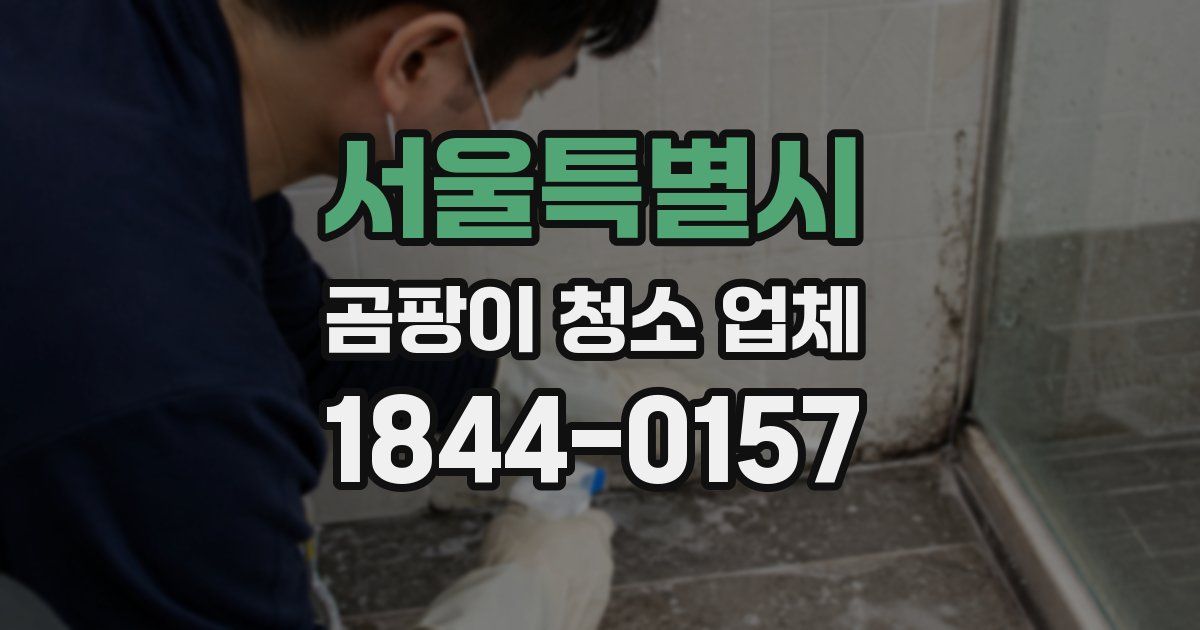 서울특별시 곰팡이 청소 업체