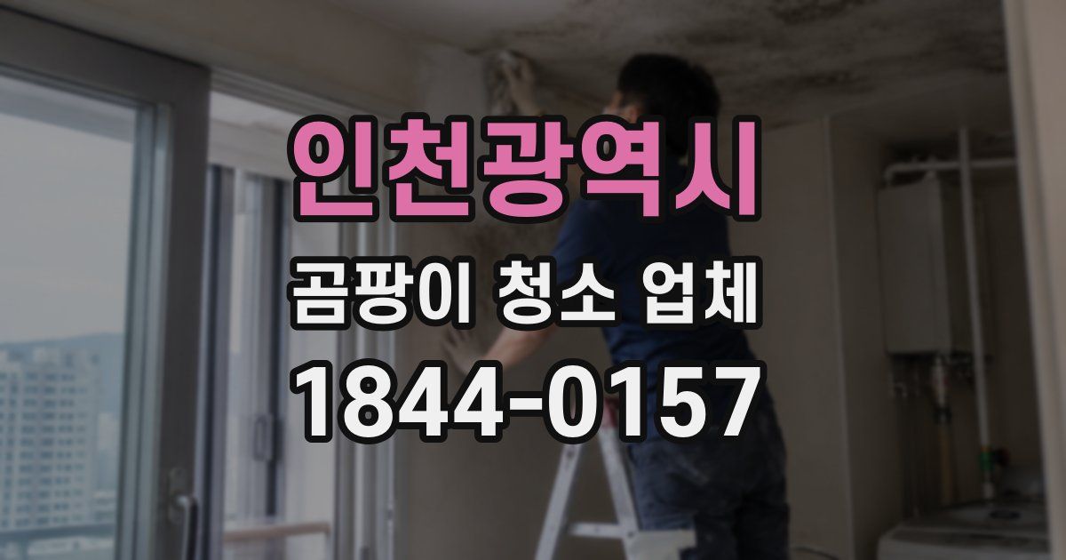 인천광역시 곰팡이 청소 업체