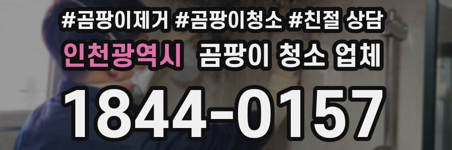 인천광역시 곰팡이 청소 업체