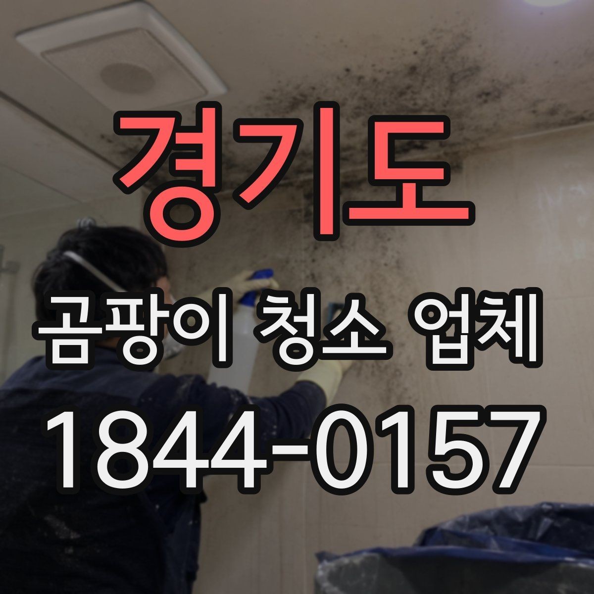 경기도 곰팡이 청소 업체 서비스 만족도를 좌우하는 요소