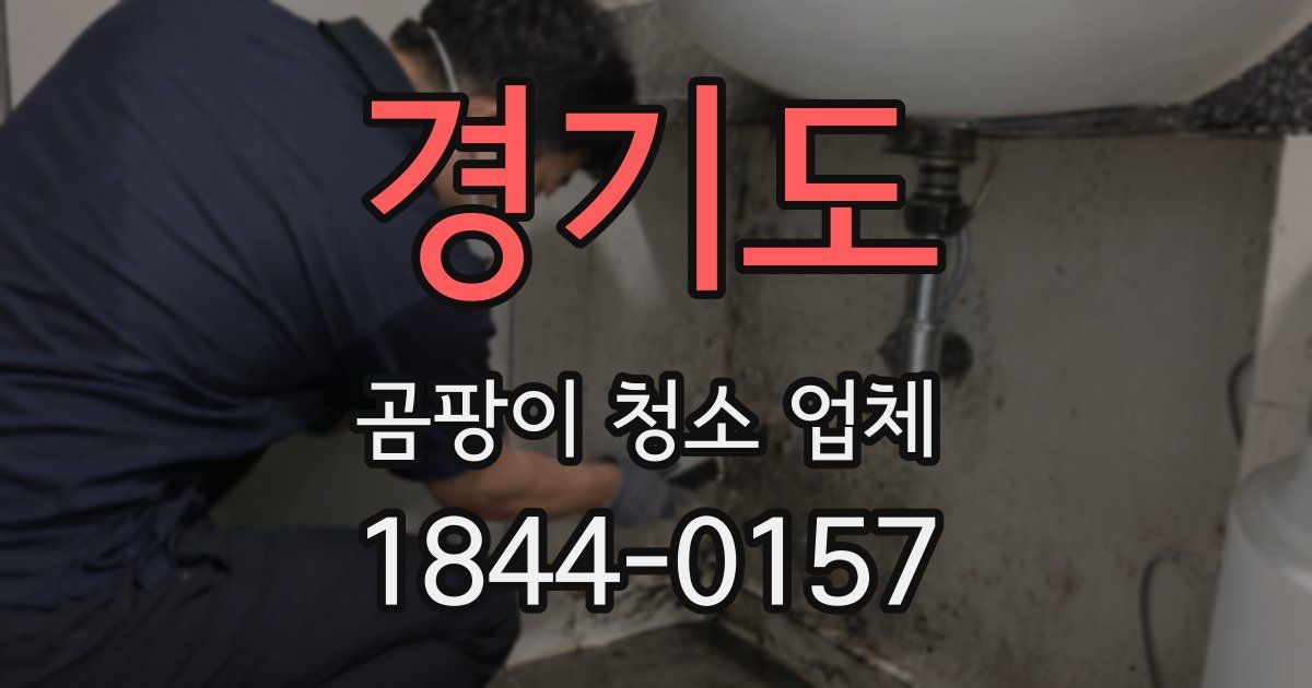 경기도 곰팡이 청소 업체