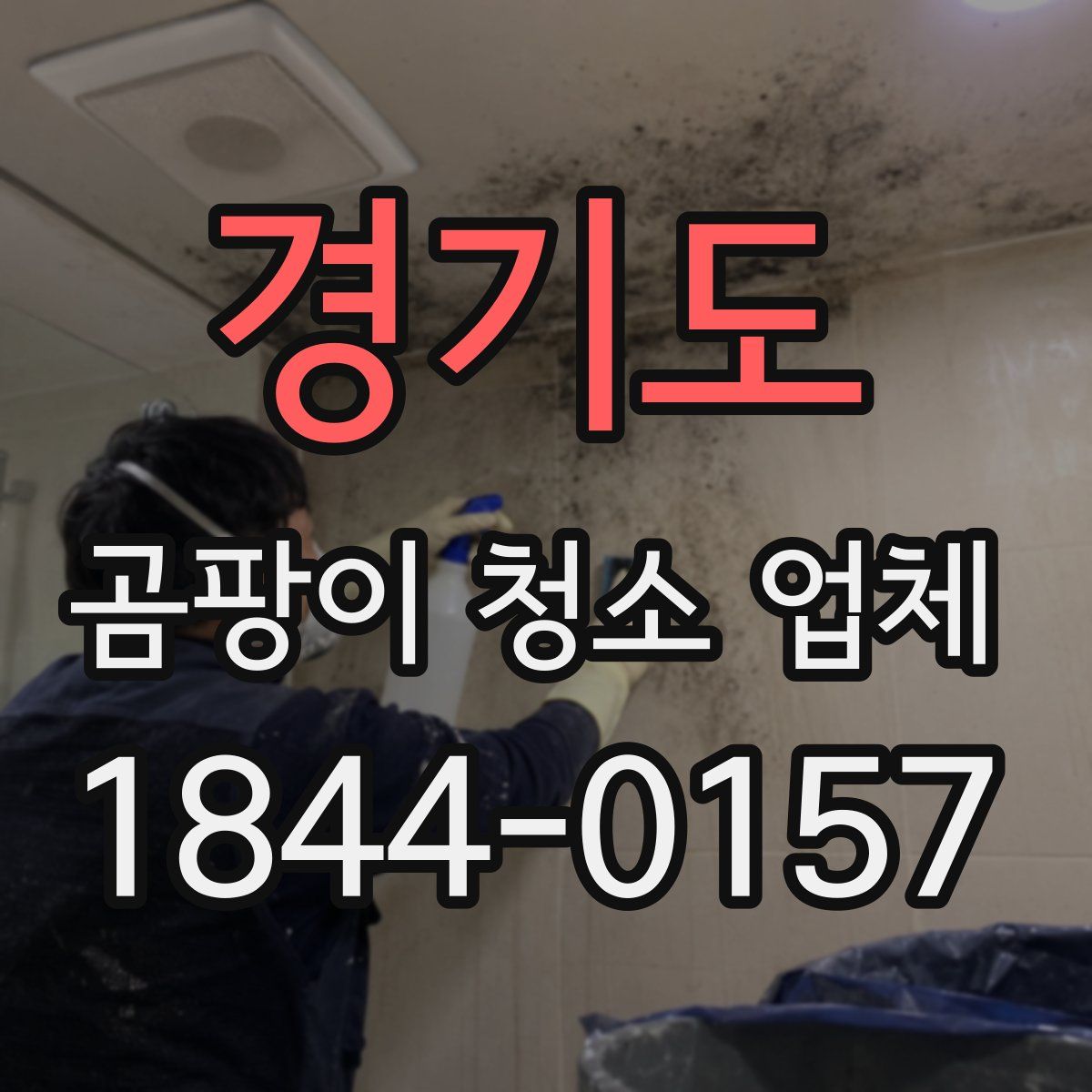 경기도 곰팡이 청소 업체