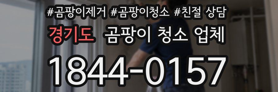 경기도 곰팡이 청소 업체