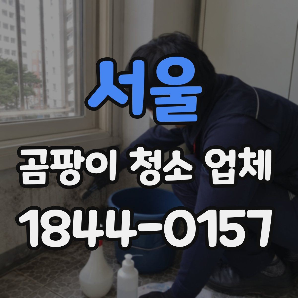 서울 곰팡이 청소 업체 선택에 도움이 되는 질문 목록