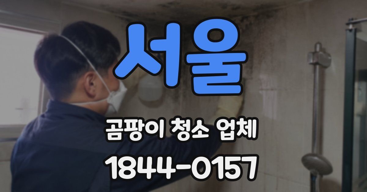서울 곰팡이 청소 업체
