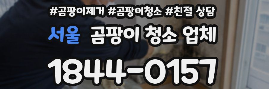 서울 곰팡이 청소 업체