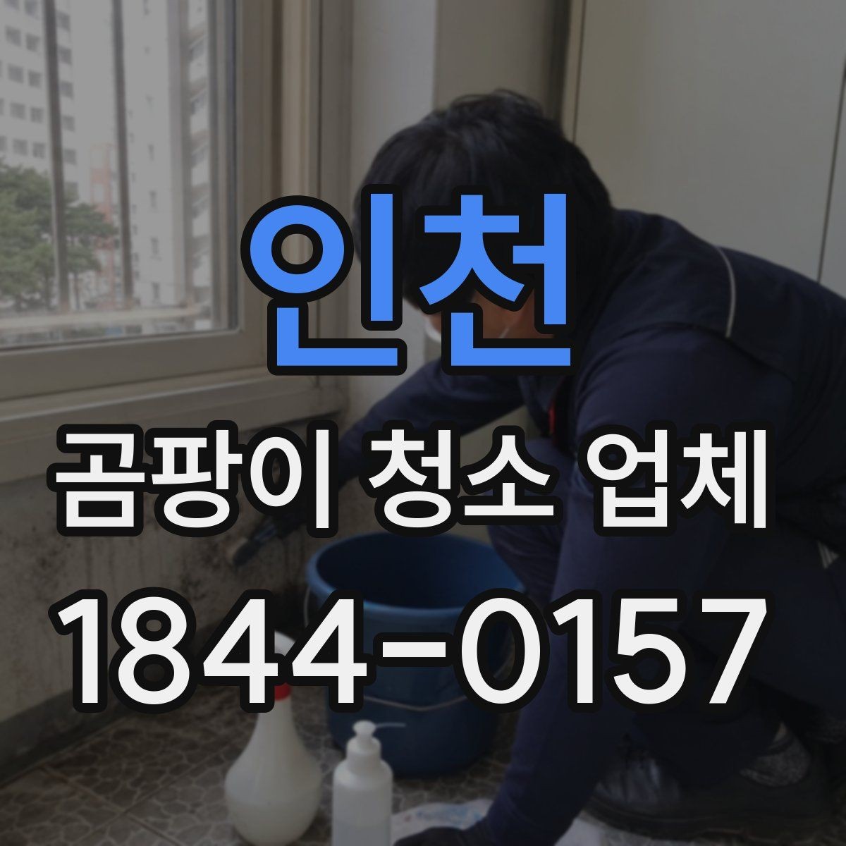 인천 곰팡이 청소 업체 선택 시 신뢰도를 판단하는 기준