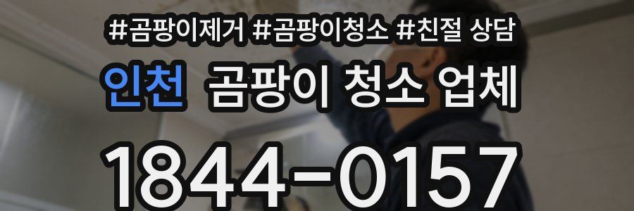 인천 곰팡이 청소 업체