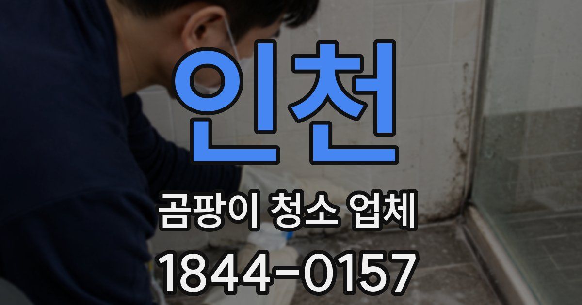 인천 곰팡이 청소 업체