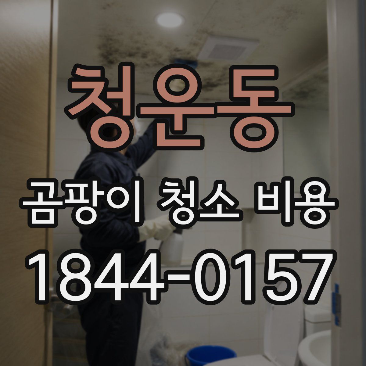 청운동 곰팡이 청소 비용