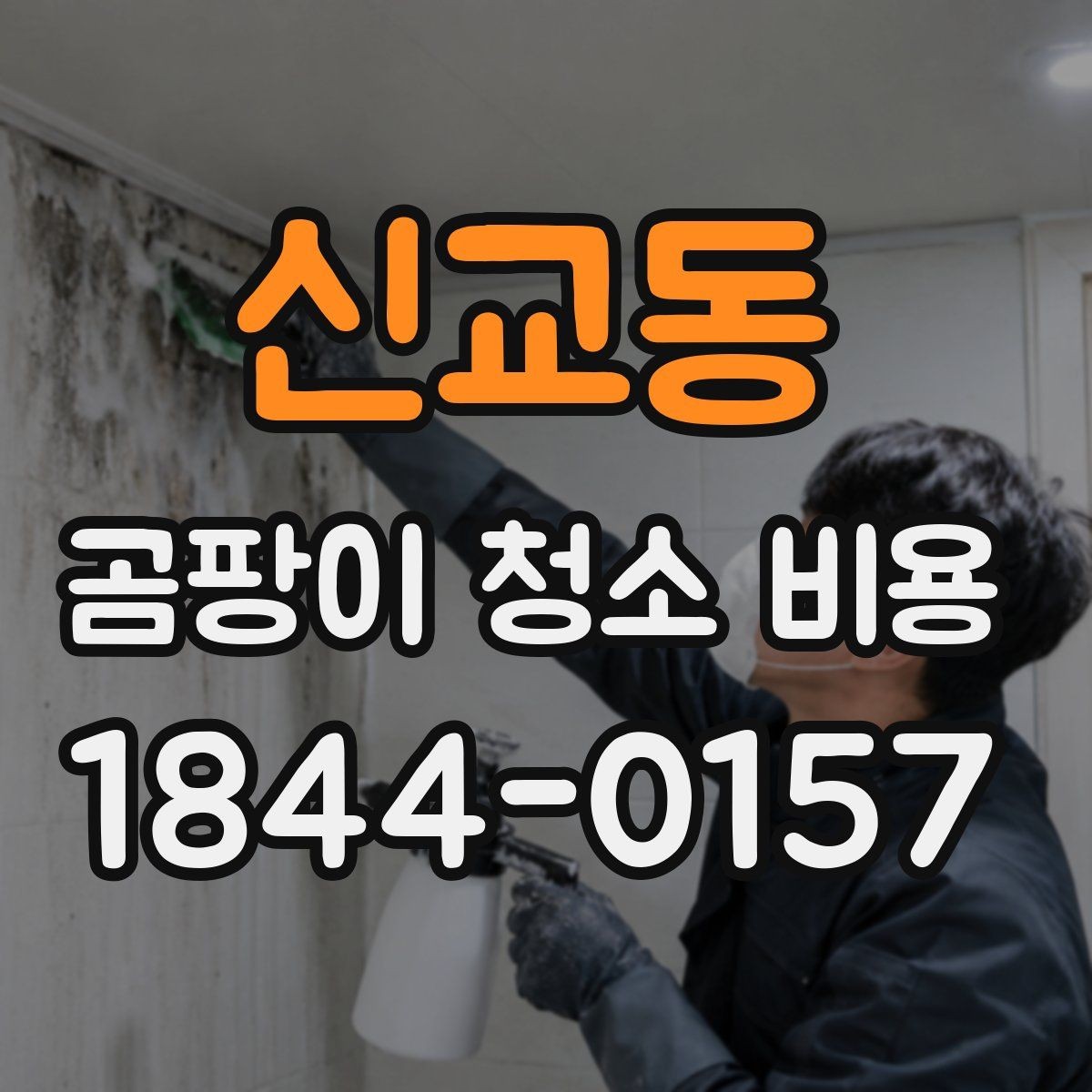 신교동 곰팡이 청소 비용 절감을 위해 점검할 내용