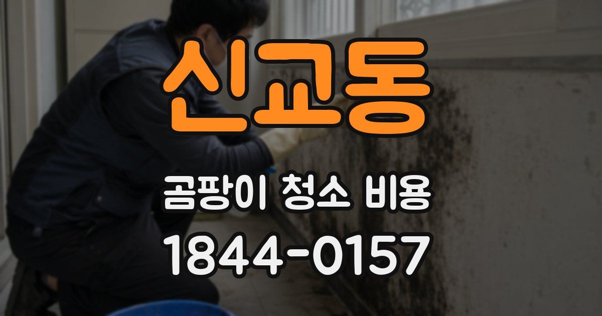 신교동 곰팡이 청소 비용