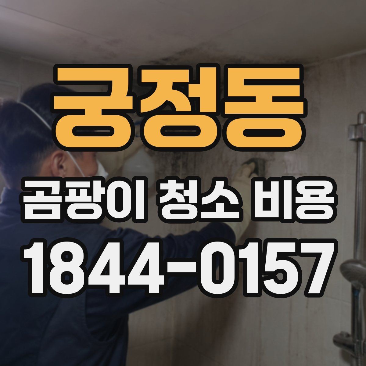궁정동 곰팡이 청소 비용 비교 시 주의할 기준