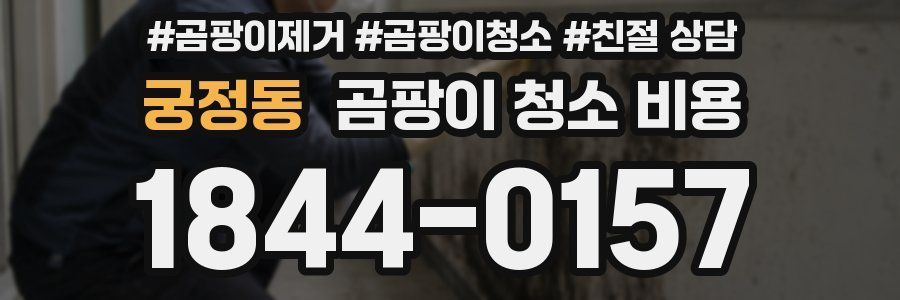 궁정동 곰팡이 청소 비용
