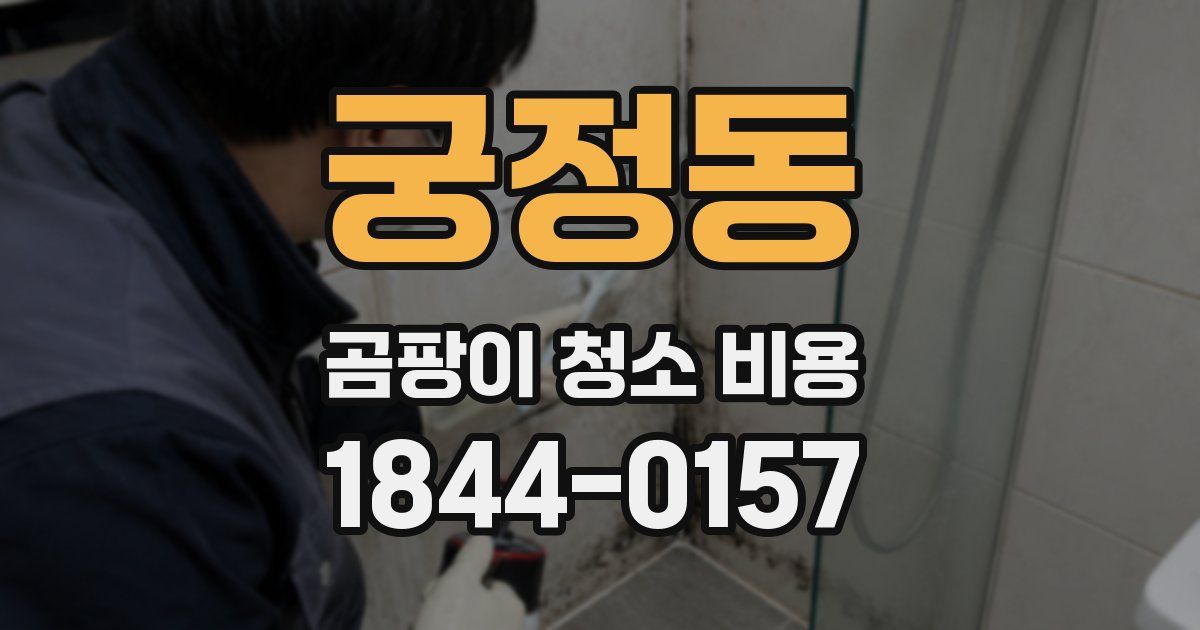 궁정동 곰팡이 청소 비용