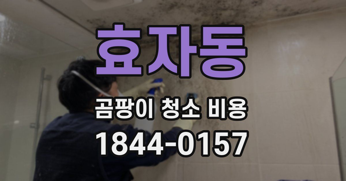 효자동 곰팡이 청소 비용
