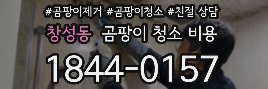 창성동 곰팡이 청소 비용