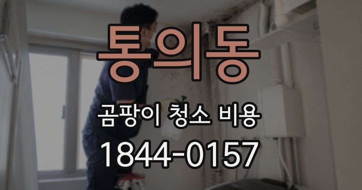 통의동 곰팡이 청소 비용