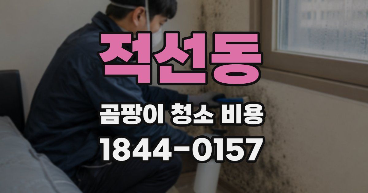 적선동 곰팡이 청소 비용