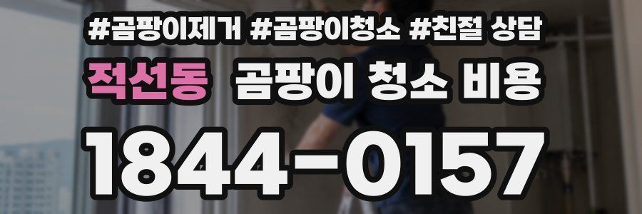 적선동 곰팡이 청소 비용