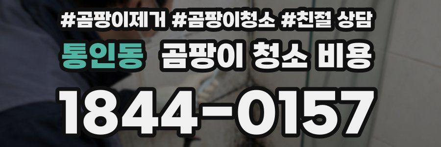 통인동 곰팡이 청소 비용