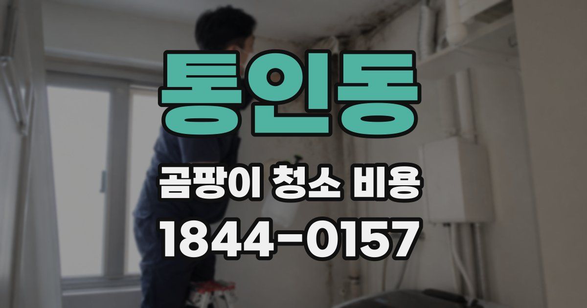 통인동 곰팡이 청소 비용