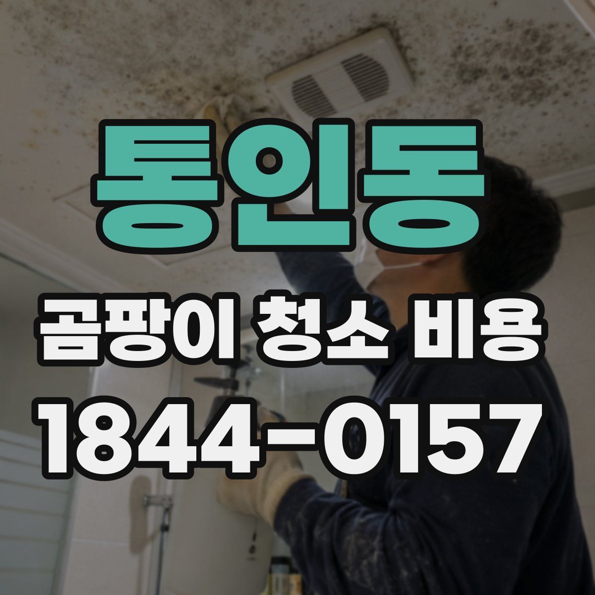 통인동 곰팡이 청소 비용