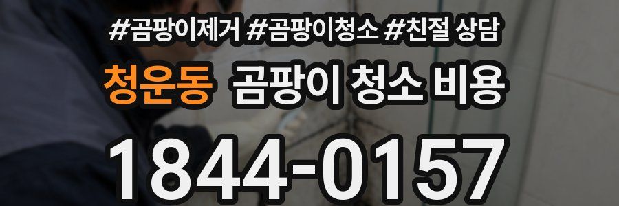 청운동 곰팡이 청소 비용
