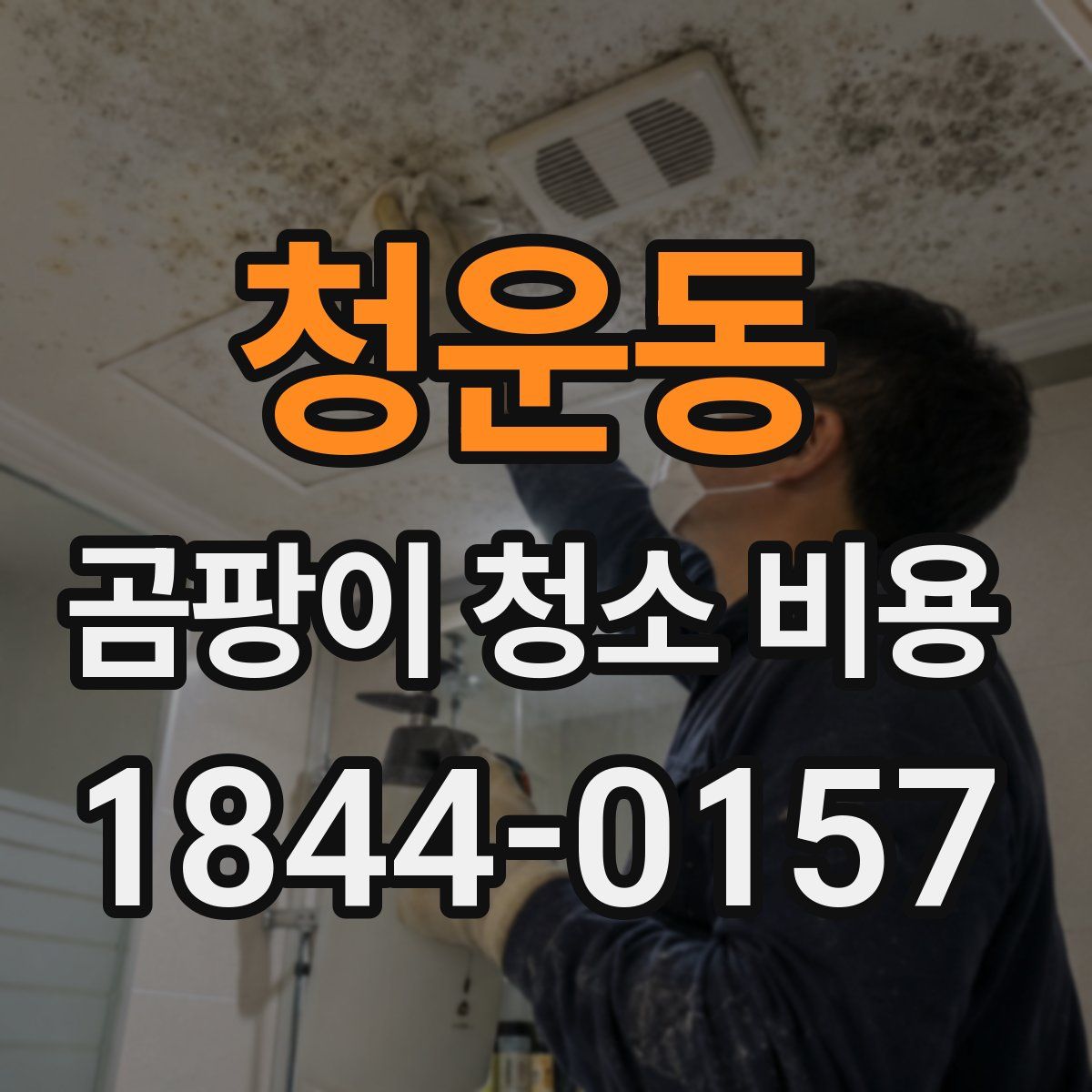 청운동 곰팡이 청소 비용