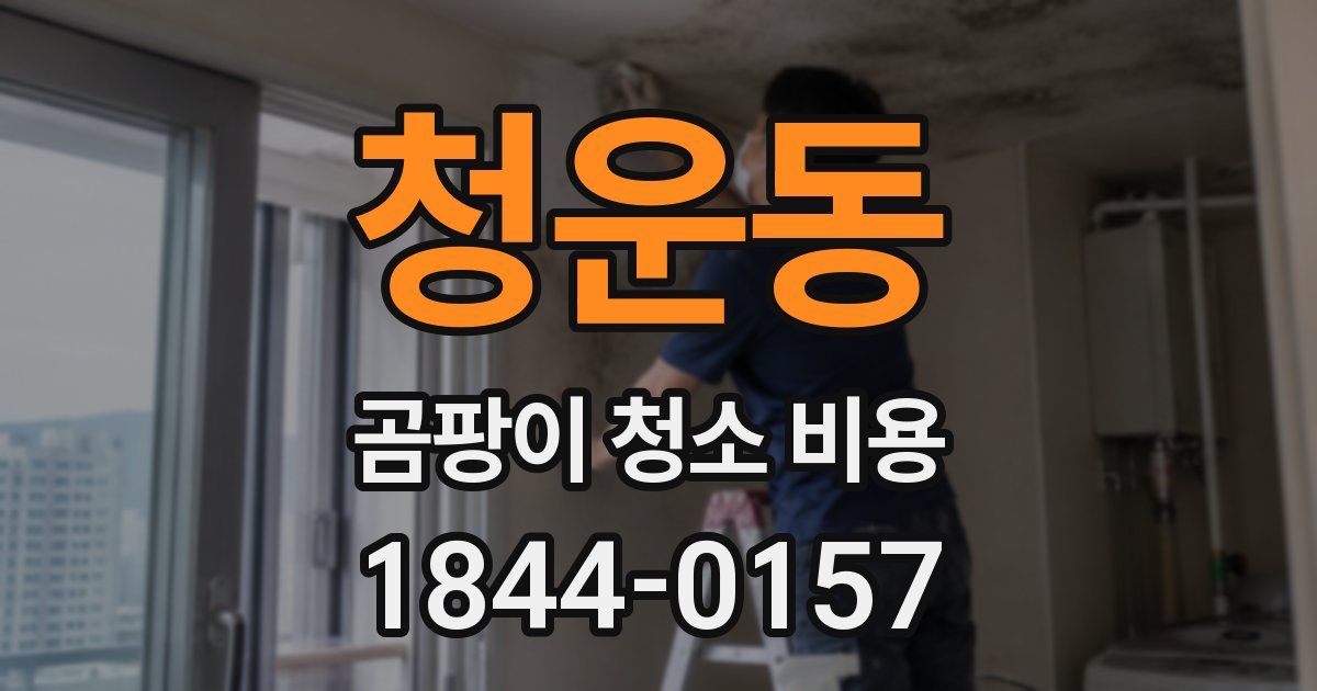 청운동 곰팡이 청소 비용