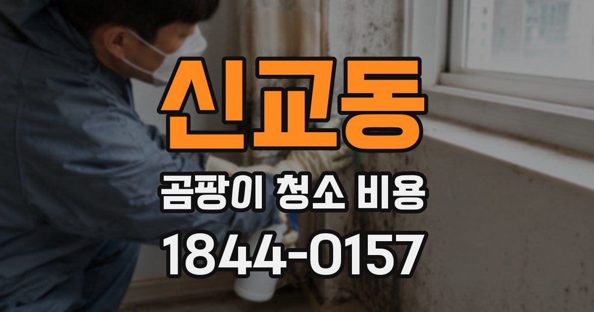 신교동 곰팡이 청소 비용