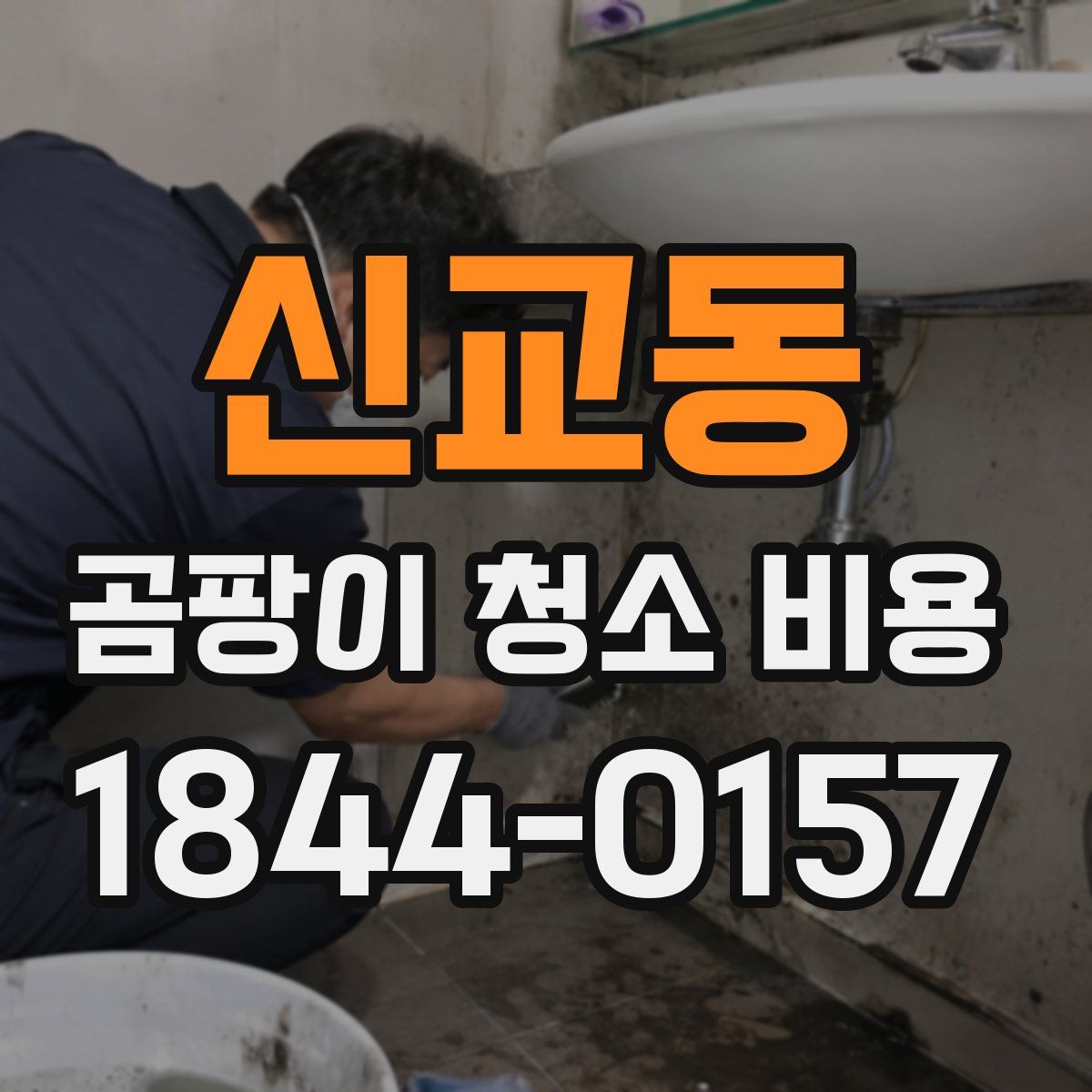 신교동 곰팡이 청소 비용