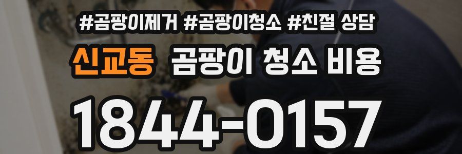 신교동 곰팡이 청소 비용
