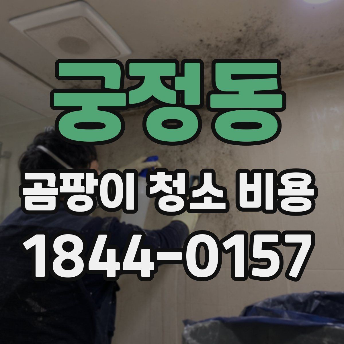 궁정동 곰팡이 청소 비용 책정 시 자주 보는 요소