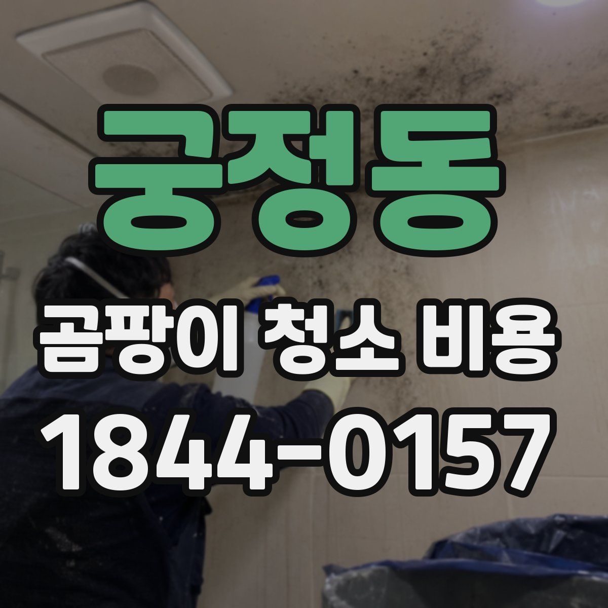 궁정동 곰팡이 청소 비용
