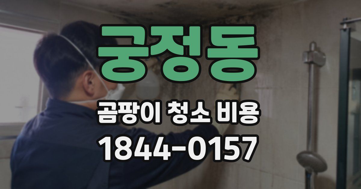 궁정동 곰팡이 청소 비용